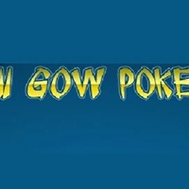 Enjoy Pai Gow Poker by Rival – logo hosted on dragonicasino.com